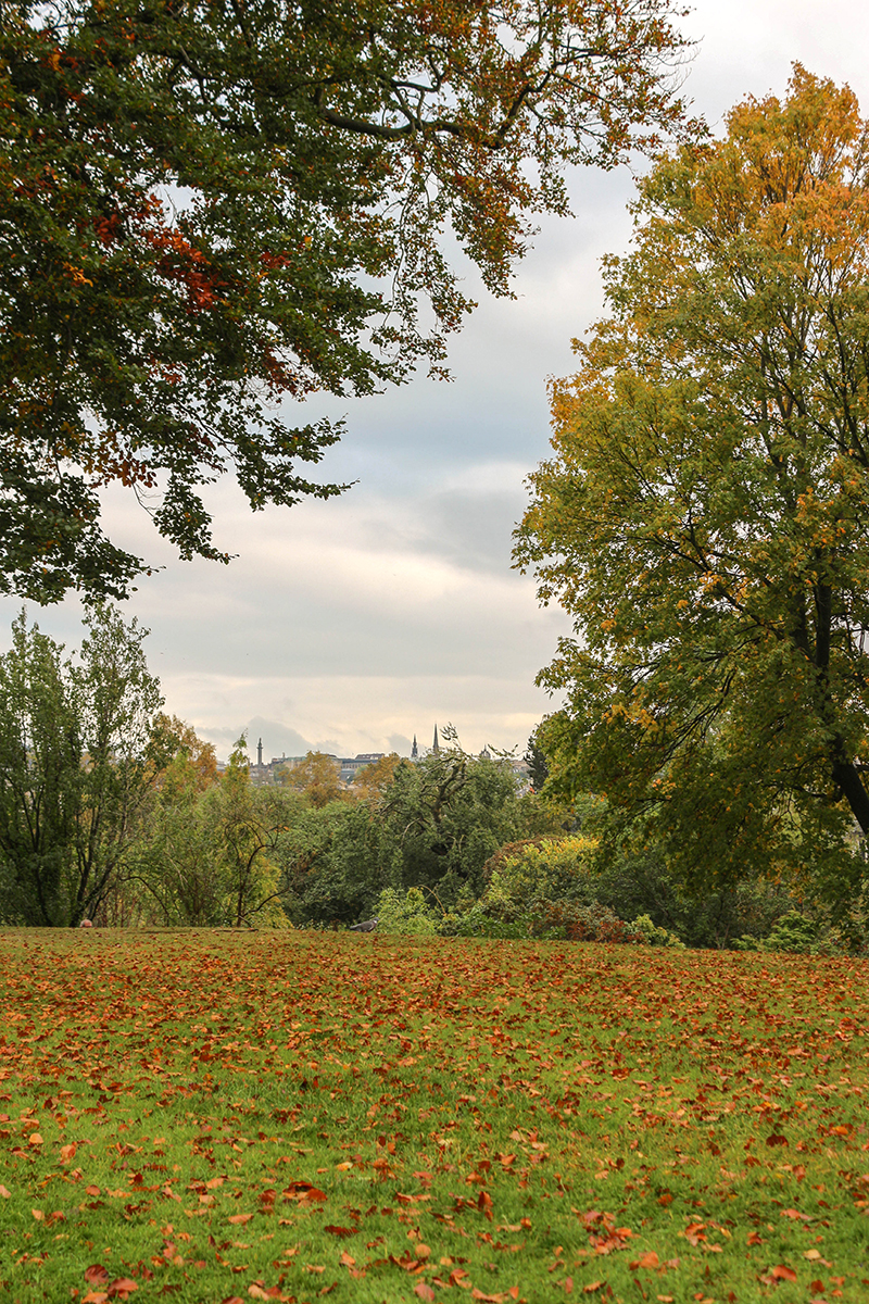 autumn views