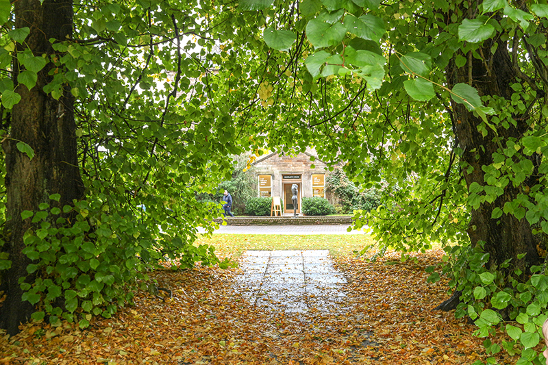 botanics edinburgh in autumn