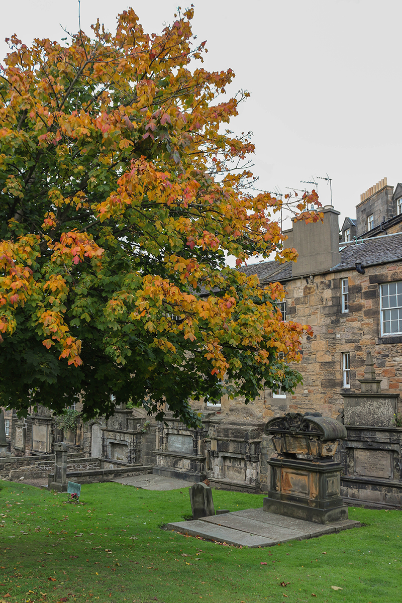 greyfriarsinautumn