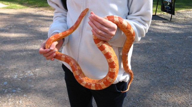 Visit Edinburgh Zoo