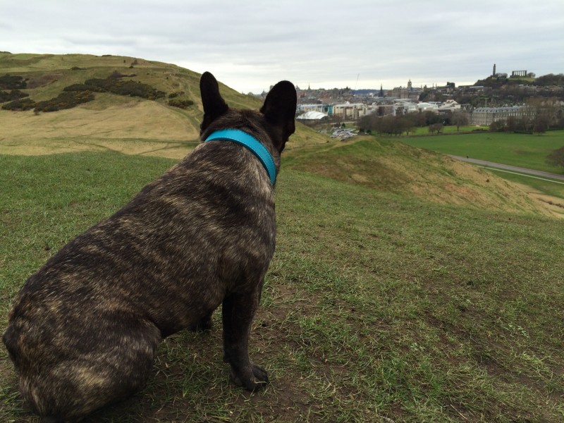 Holyrood Park (1)