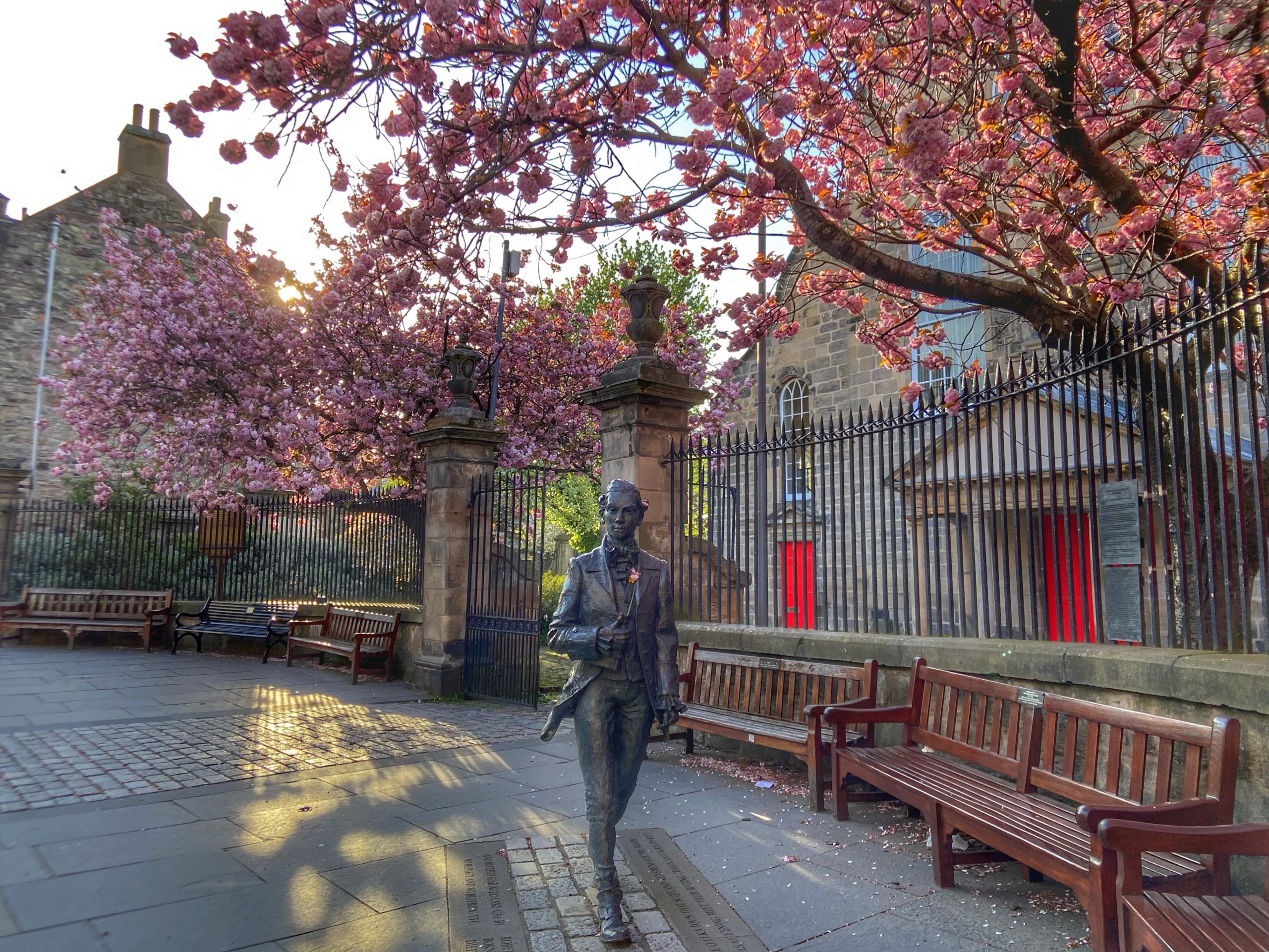 Cherry blossom by Canongate Kirk