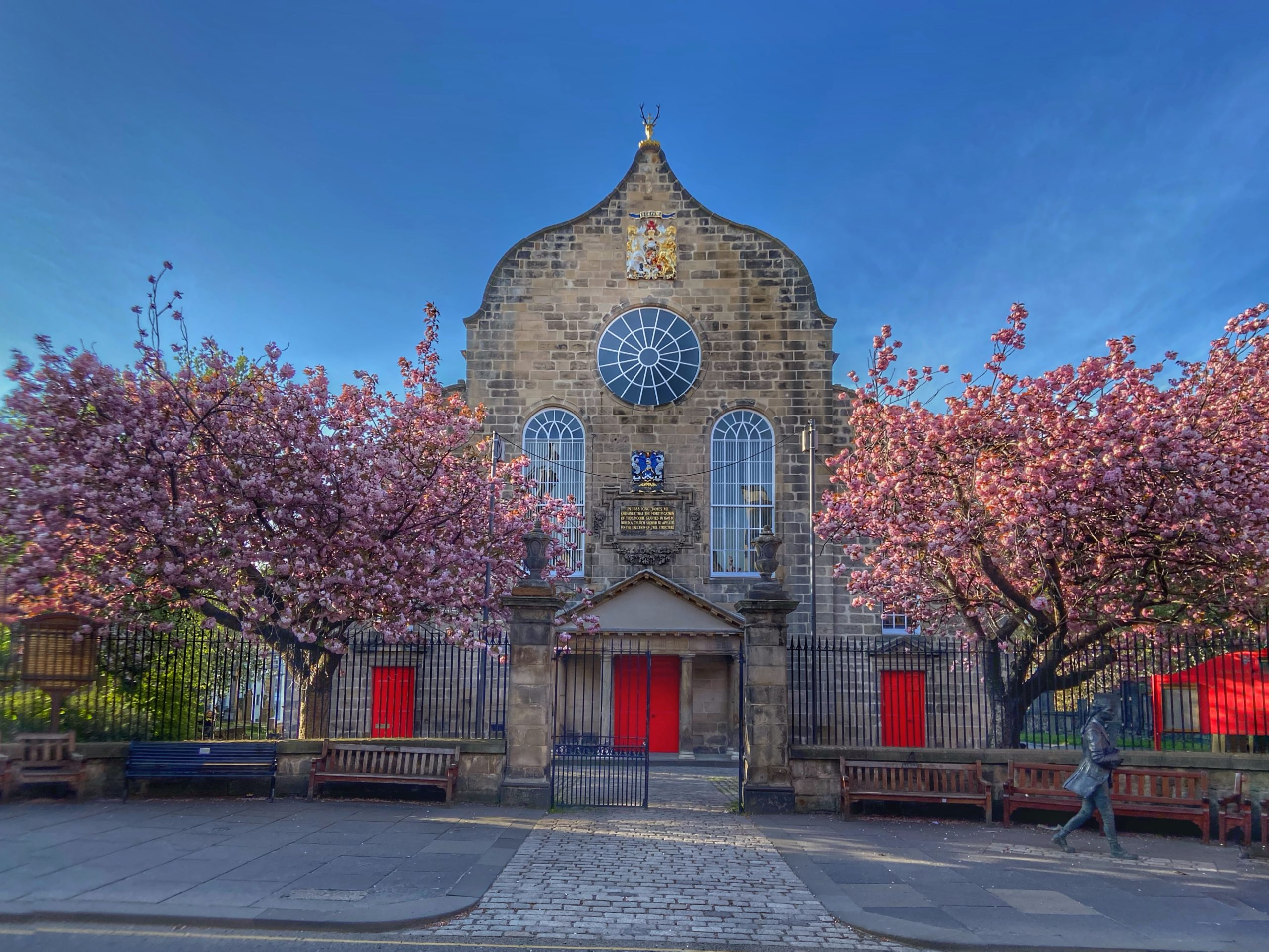 Canongate Kirk cherry blossom