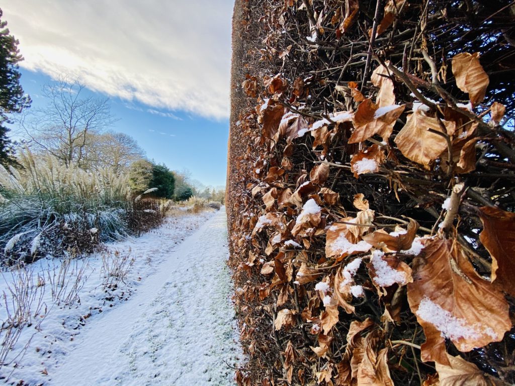 winter walks