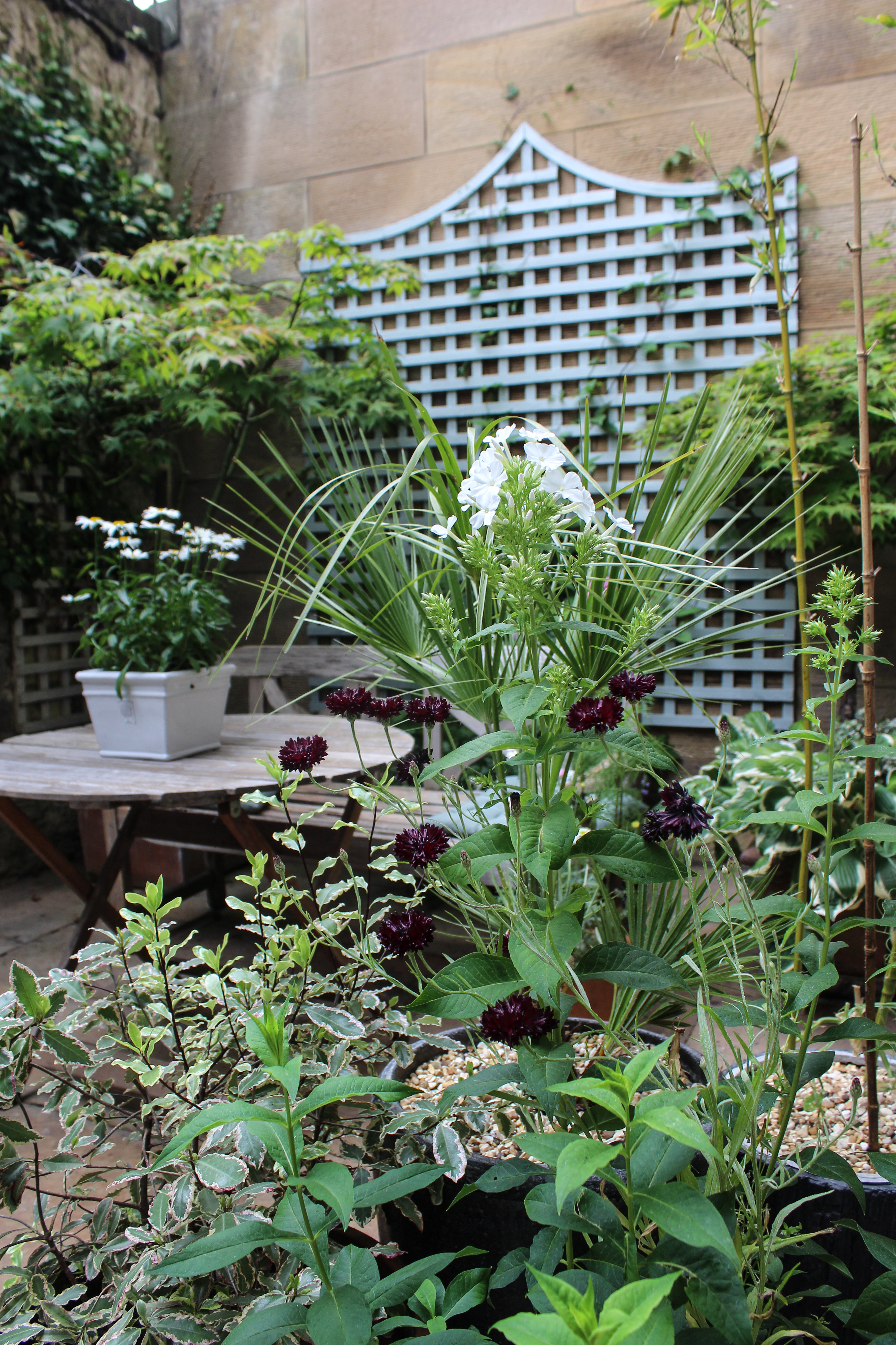 Our Homes from Home - Carlton Street, Stockbridge