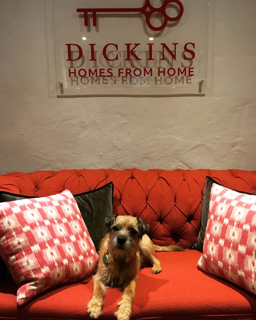 Edinburgh's best Dog friendly apartments