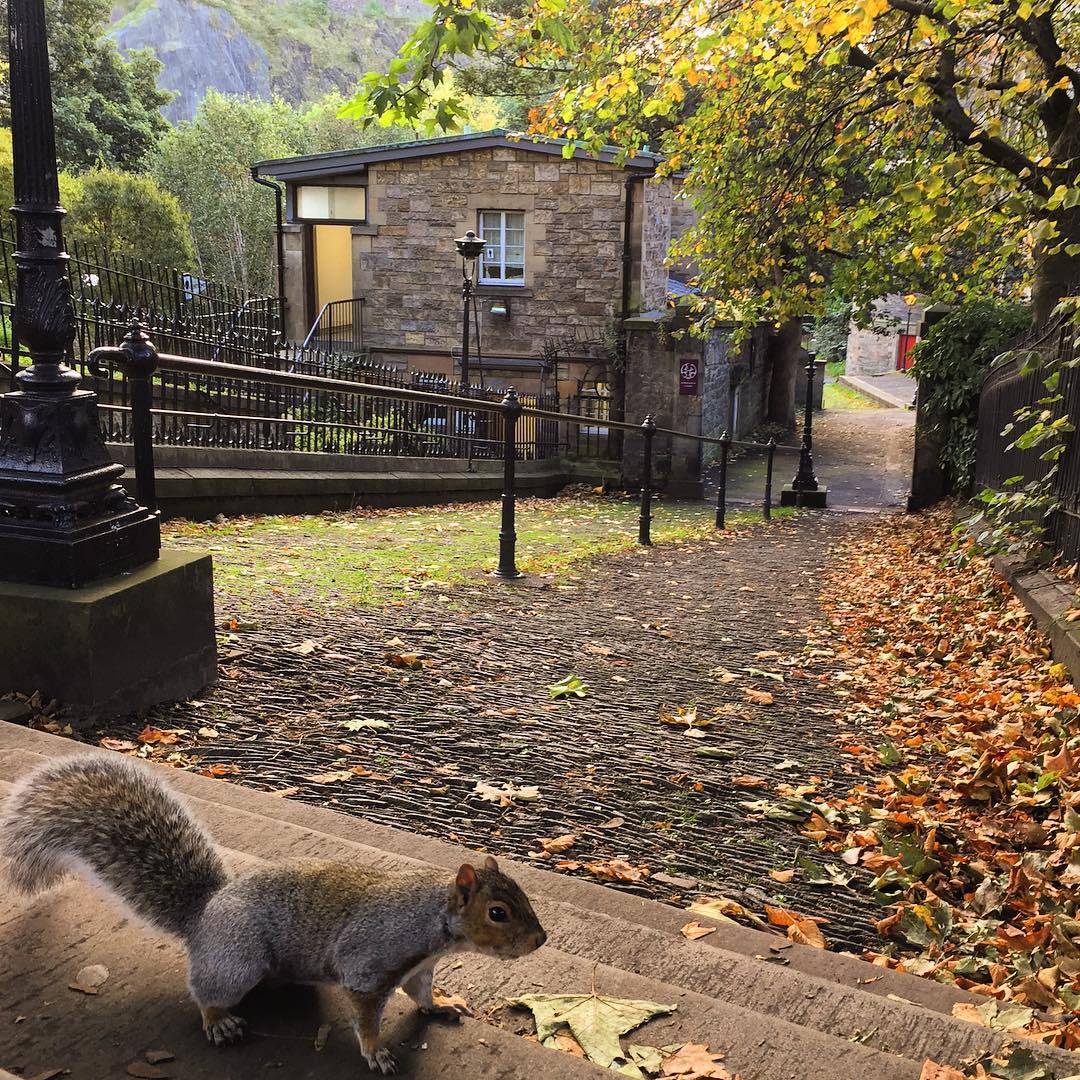 Autumn in Edinburgh