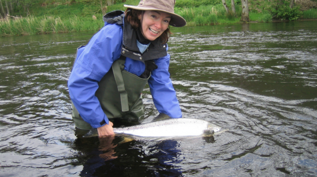 Fish Wild: The Plaice to Fish in Scotland