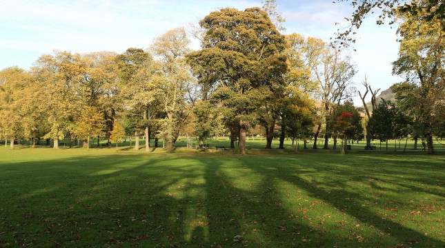 Edinburgh Walks