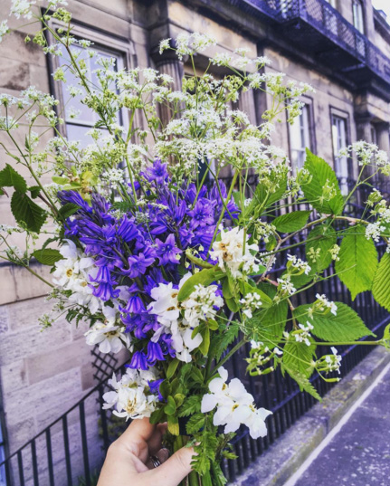 gardenflowers