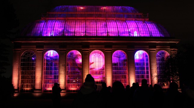 Botanic Lights at Royal Botanic Garden Edinburgh