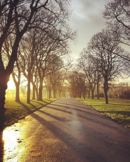 Sunrise in Inverleith Park Edinburgh 